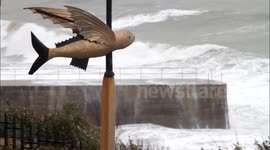 Howling Gale in Cornwall, and Flying Fish