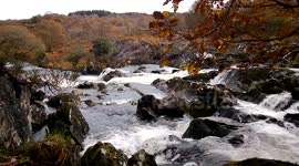 The Black Valley
