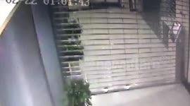 Robber Is Punished by Ex-wrestler