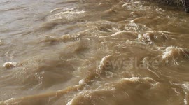 High Water on the Willamette River Eugene Oregon