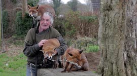 Irishman, Patsy Gibbons, and his three pet foxes