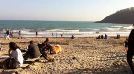 Sunny Saturday at Swanpool Beach