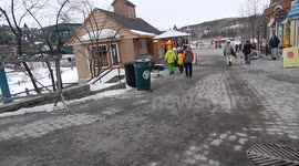 Spring Break Snowboarding Duck Visits Mt. Tremblant Ski Resort