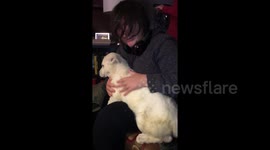 Newsflare Edit - Teenager with Autism meets her future service dog