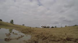 Rhino smells my Gopro camera.