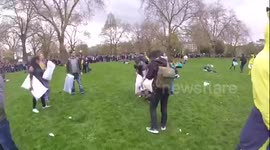A Dog Has Fun At World Pillow Fight Day