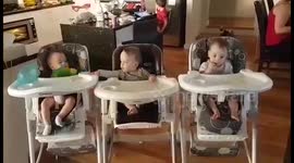 Triplet Feed Time Havic