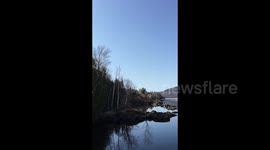 Canada geese flying over melting lake