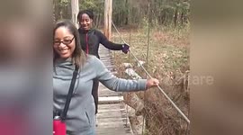 Newsflare Edit - Family Fun on a swinging bridge