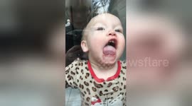 Baby tries to 'eat' a glass door