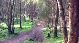 Wycombe forest Mountain bike fail