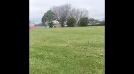 Extreme zorb fail in New Zealand sends two schoolfriends flying