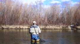 Spring Fishing - Snake River Cutthroat Trout