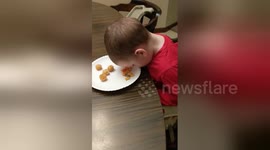 Baby tries to fight sleep at the dinner table