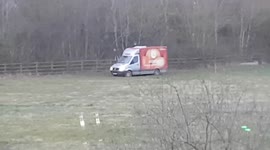Stuck in the mud! Ocado delivery driver takes a very wrong turn