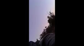 Elephant Charge