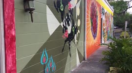 Orlando Graffiti - Local Artist Collaboration
