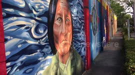 Orlando Graffiti - Local Artist Collaboration