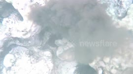 Diving instructor gets inked by octopus