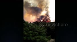 Chinese villager's fiery tribute at ancestor's grave causes deadly forest blaze