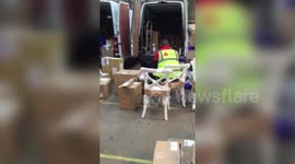 DPD delivery driver lobbing parcels into a lorry