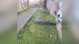 Newsflare Edit - Parkour flow