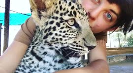 Woman cuddles leopard in South Africa