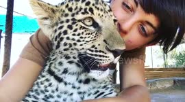 Woman cuddles leopard in South Africa