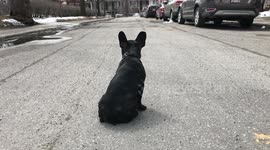 WEEKEND AT BARNIE'S!!!