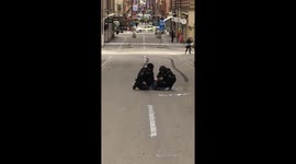 Truck ploughs into crowd in Stockholm, Sweden