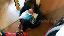 Tomfoolery with frenchbulldog