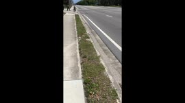 Belvedere Rd closing for President Xi motorcade