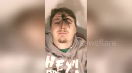 Newsflare Edit - Brown tarantula found in utah on my face! Wild!!!