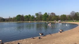 Summer swimming in Kensington Gardens