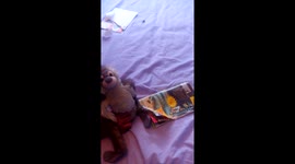 Chippy the MONKEY ordering from a catalog   .