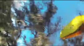 Powered paraglider crashes into trees