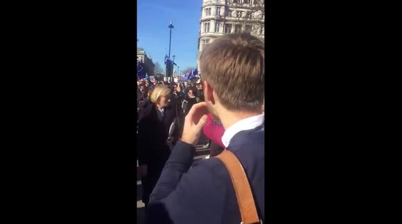 No To Brexit Demo London 25/03/17