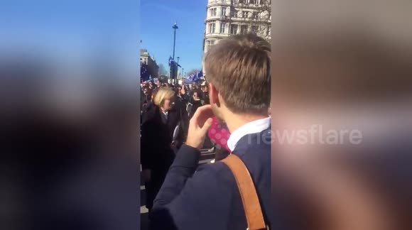 Newsflare Edit - No To Brexit Demo London 25/03/17