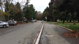 Mannerly Peacock crossing street at Beacon Hill Park, Victoria, Canada_礼儀正しく横断歩道を渡る孔雀