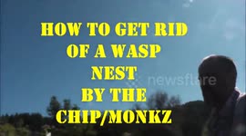 Life Hack    How to get rid of a wasp nest     by the Chip/Monkz
