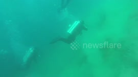 This is what a 5.7 magnitude earthquake looks like underwater