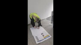 Man tries to get through airport security with A0 sized boarding pass