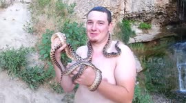 WILD Gopher/blow snakes