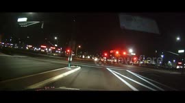 Wild coyotes stop traffic in Ahwatukee, Arizona