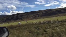 Newsflare Edit - Farmland by Eiríksstaðir Living Museum in West Iceland