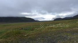 Time-Lapse of Sheep Grazing in Front of Southern Iceland’s Hoffellsjökull Outlet Glacier
