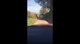 Lazy dog walker
