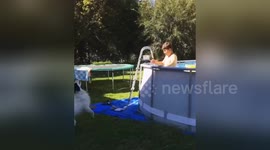 Newsflare Edit - Funny Dog Drinks Pool Water