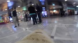 GoPro on Guide Dog going into London tube station