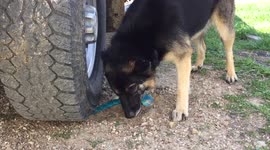 My toy is stuck.